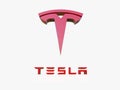 Tesla Motors American Automobile and Energy Company Logo Close up